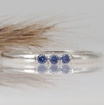 Anillo Horizonte 2mm